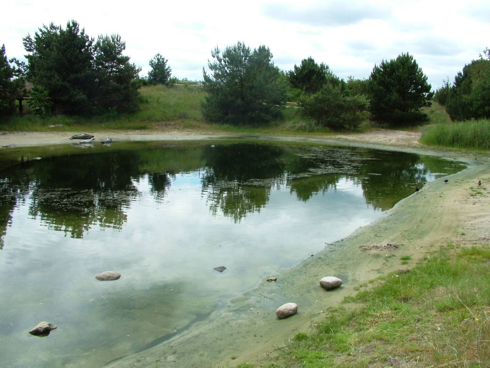 Seal Pools at Harderwijk, 01/06/12