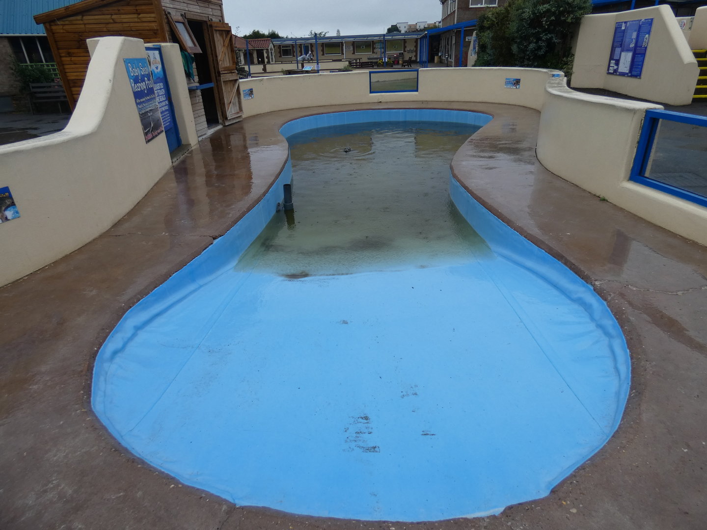Seal rearing pool