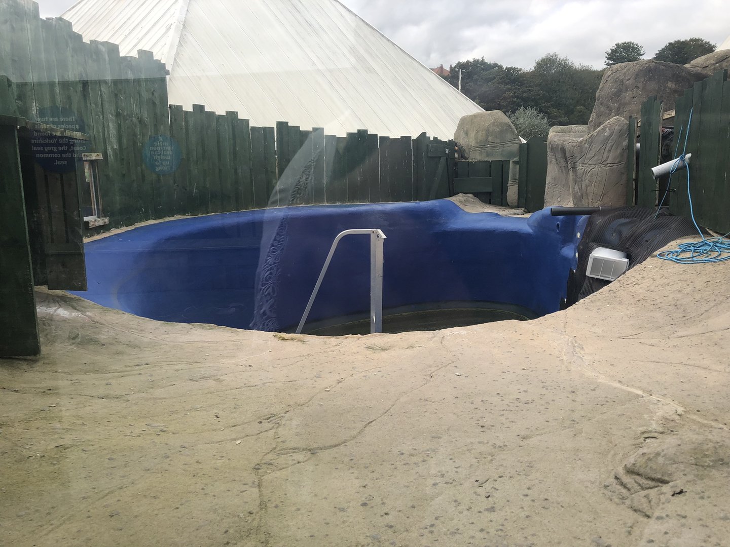 Seal Rehabilitation Pool at SEA LIFE Scarborough (September 2022)