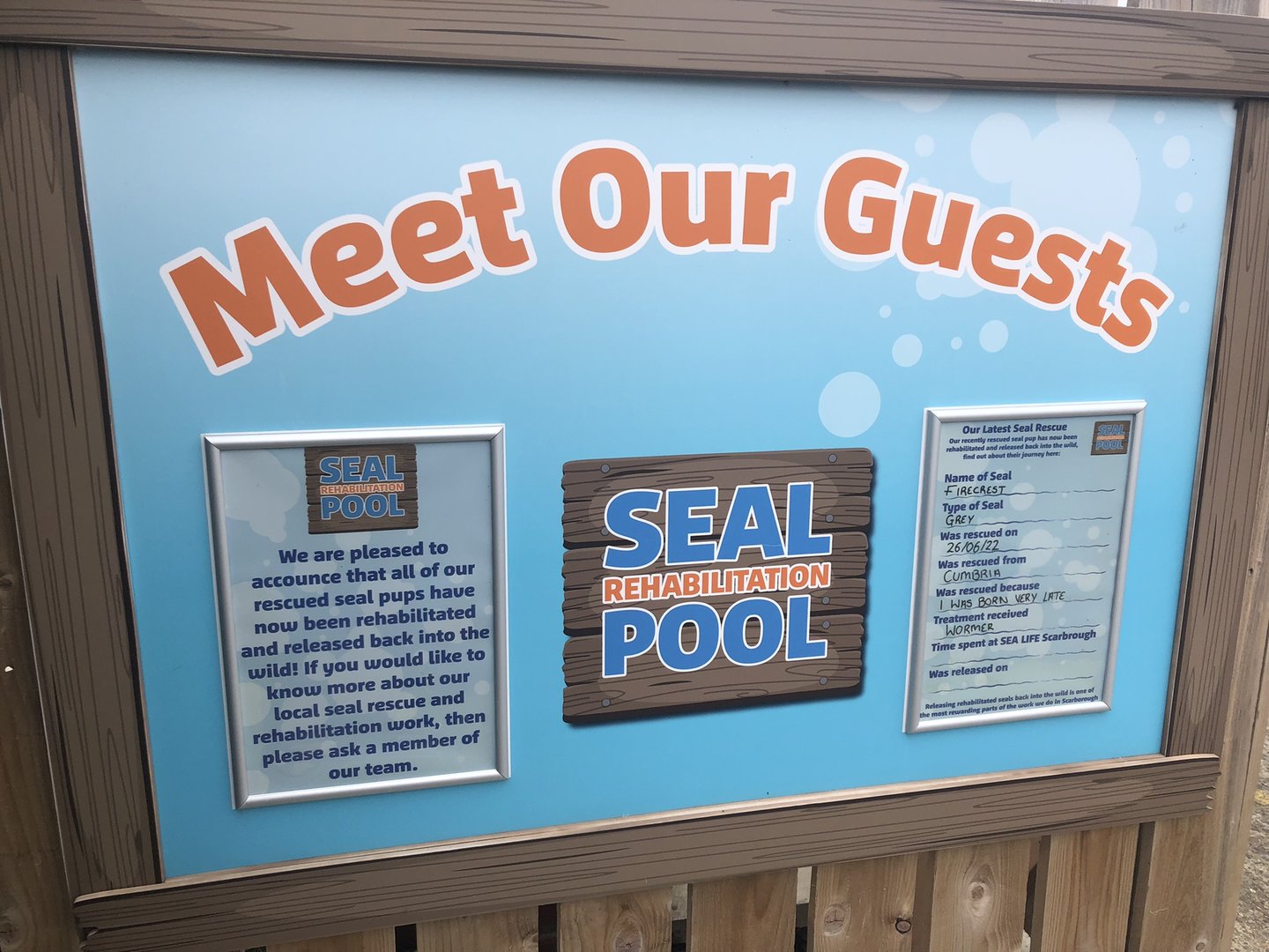 Seal Rehabilitation Pool Signage at SEA LIFE Scarborough (September 2022)