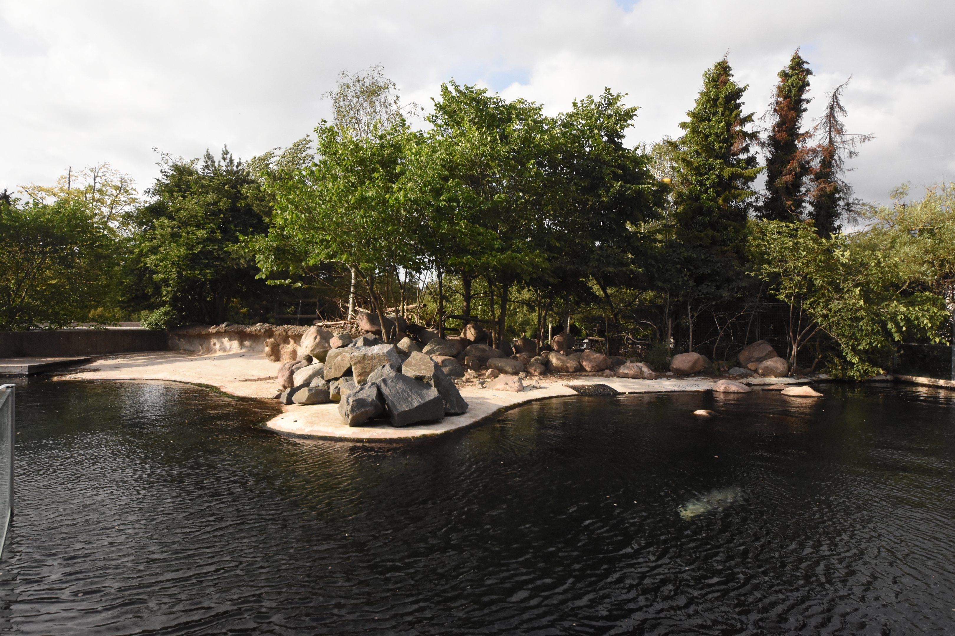 Seal & Reindeer enclosure