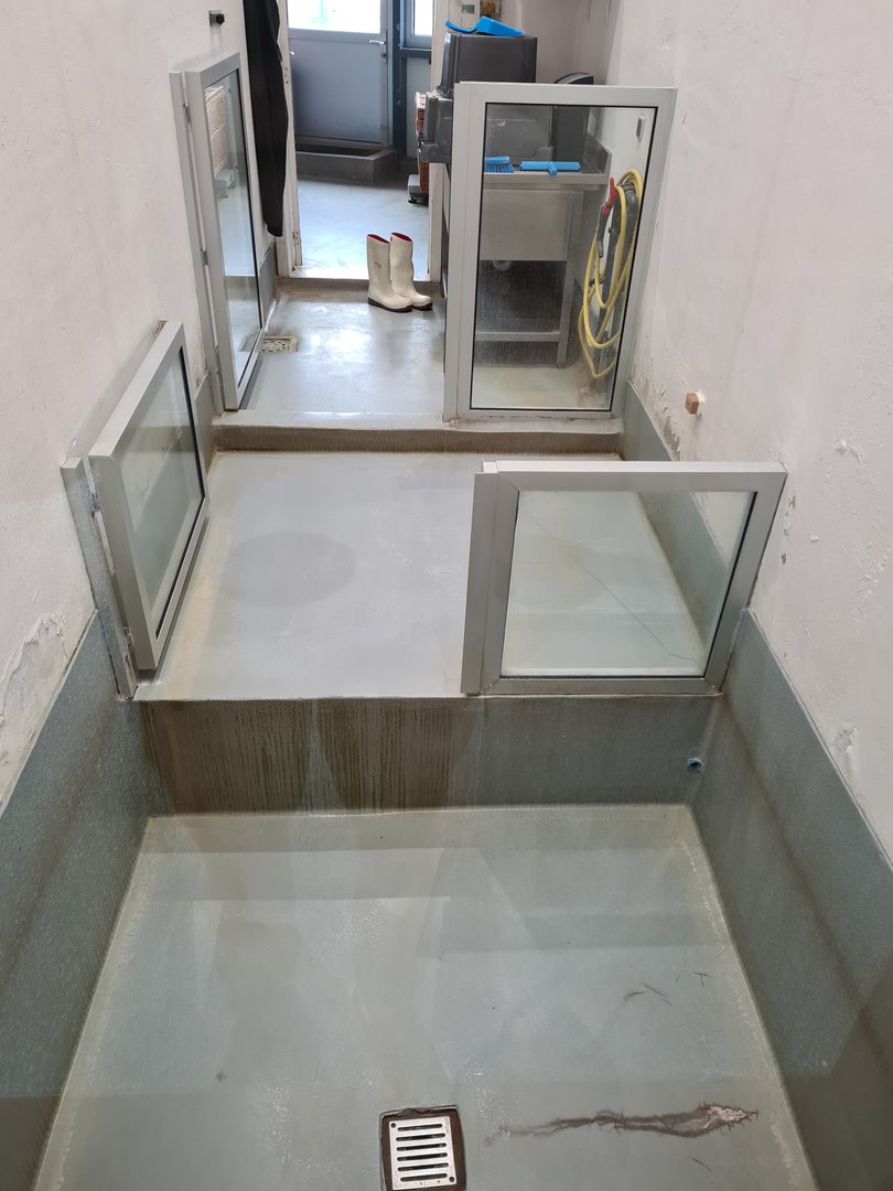 Seal rescue enclosure