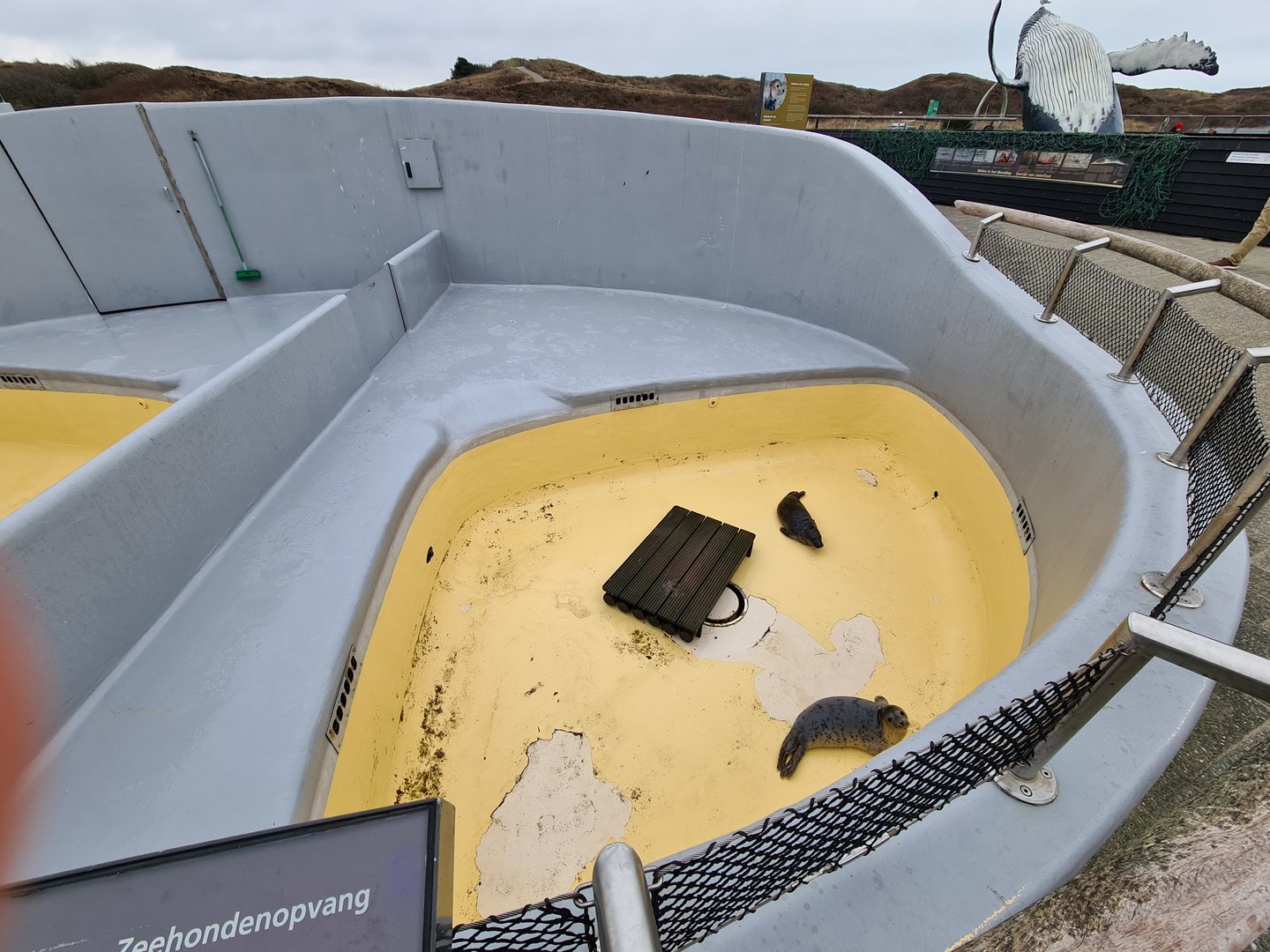 Seal rescue recovery enclosure - "Mees" and "Leila"