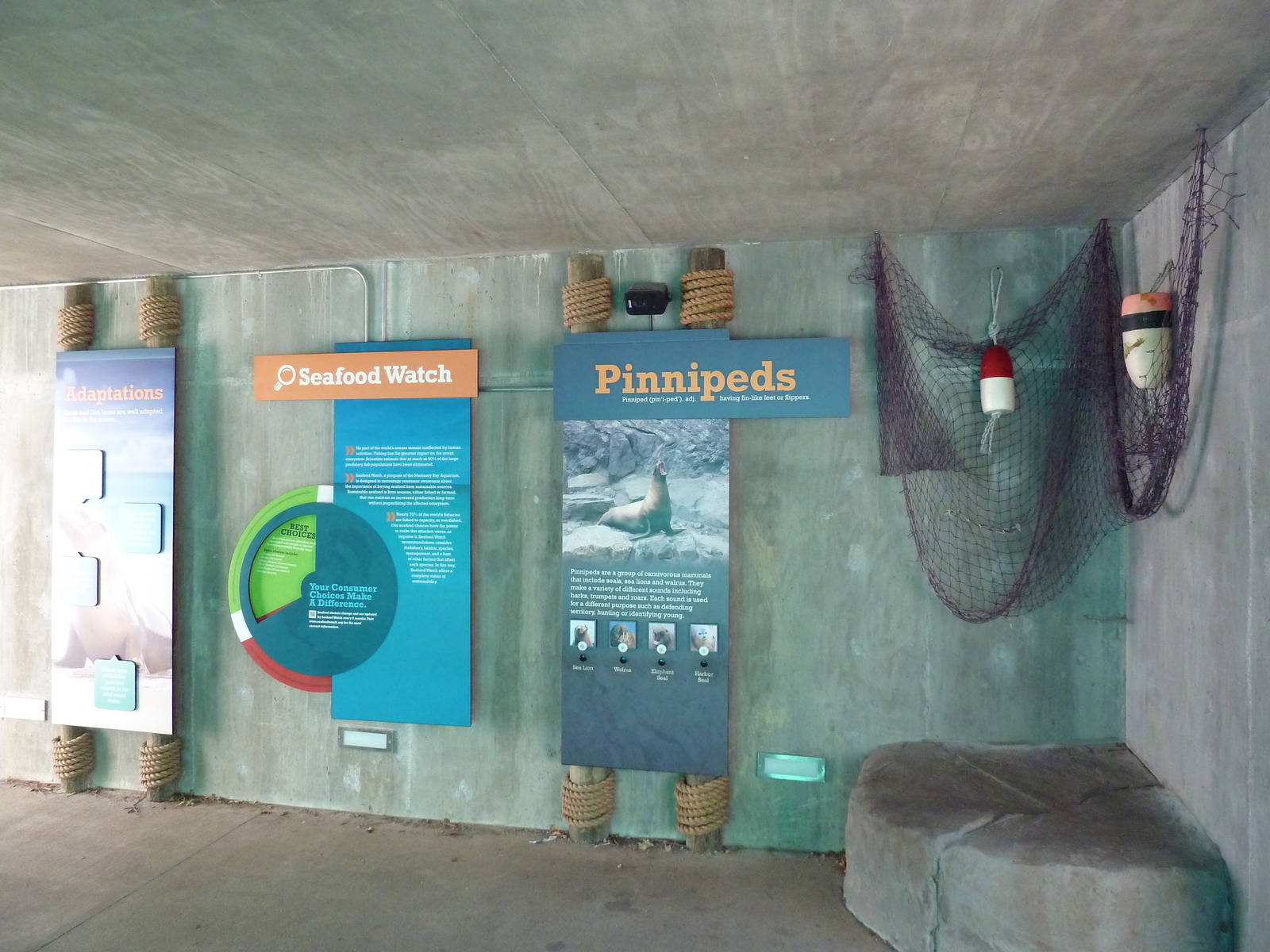 Seal/Sea Lion Exhibit - New Signage