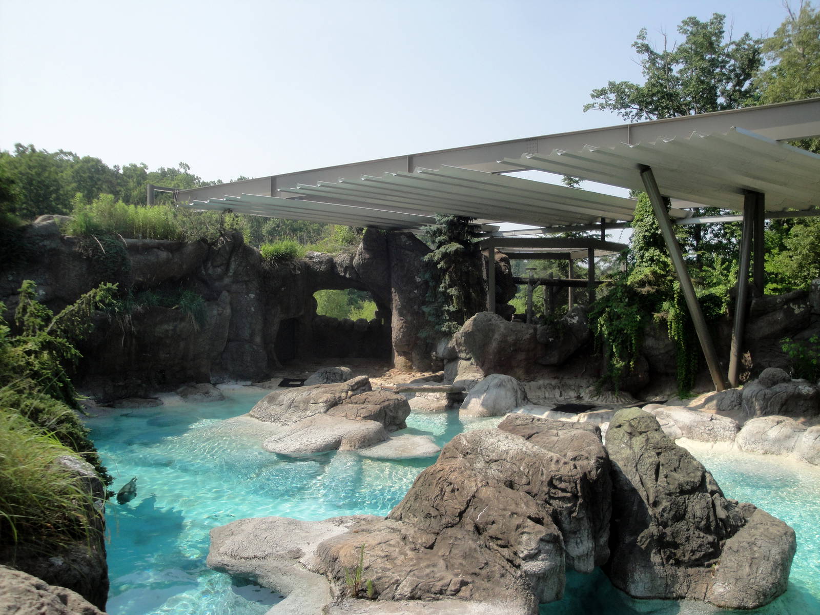 Seal/Sea Lion Exhibit