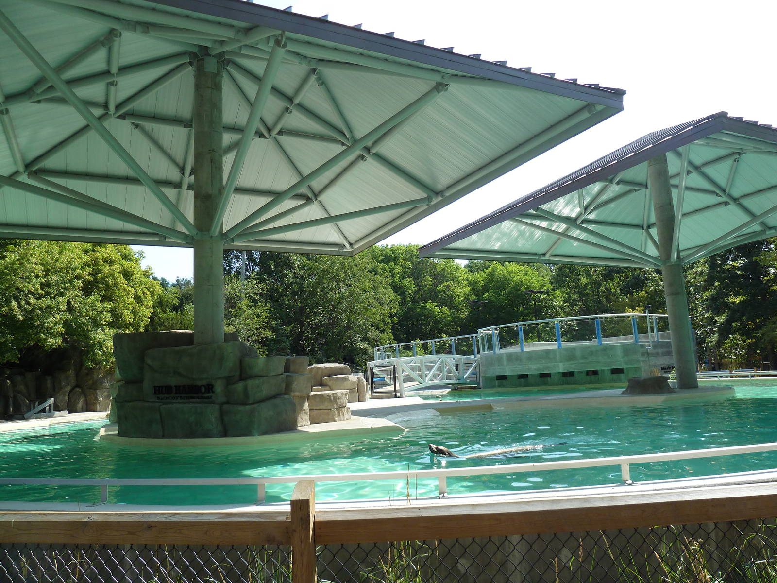 Seal/Sea Lion Exhibit