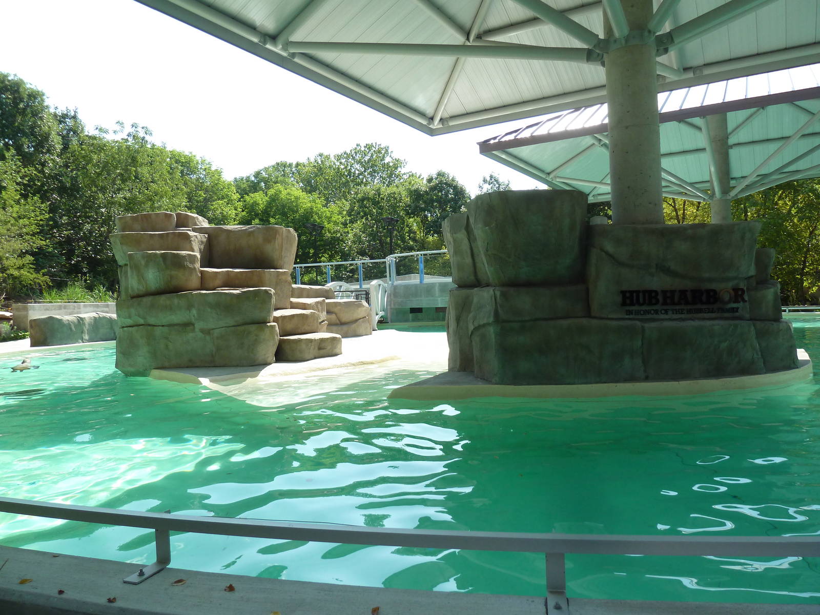 Seal/Sea Lion Exhibit