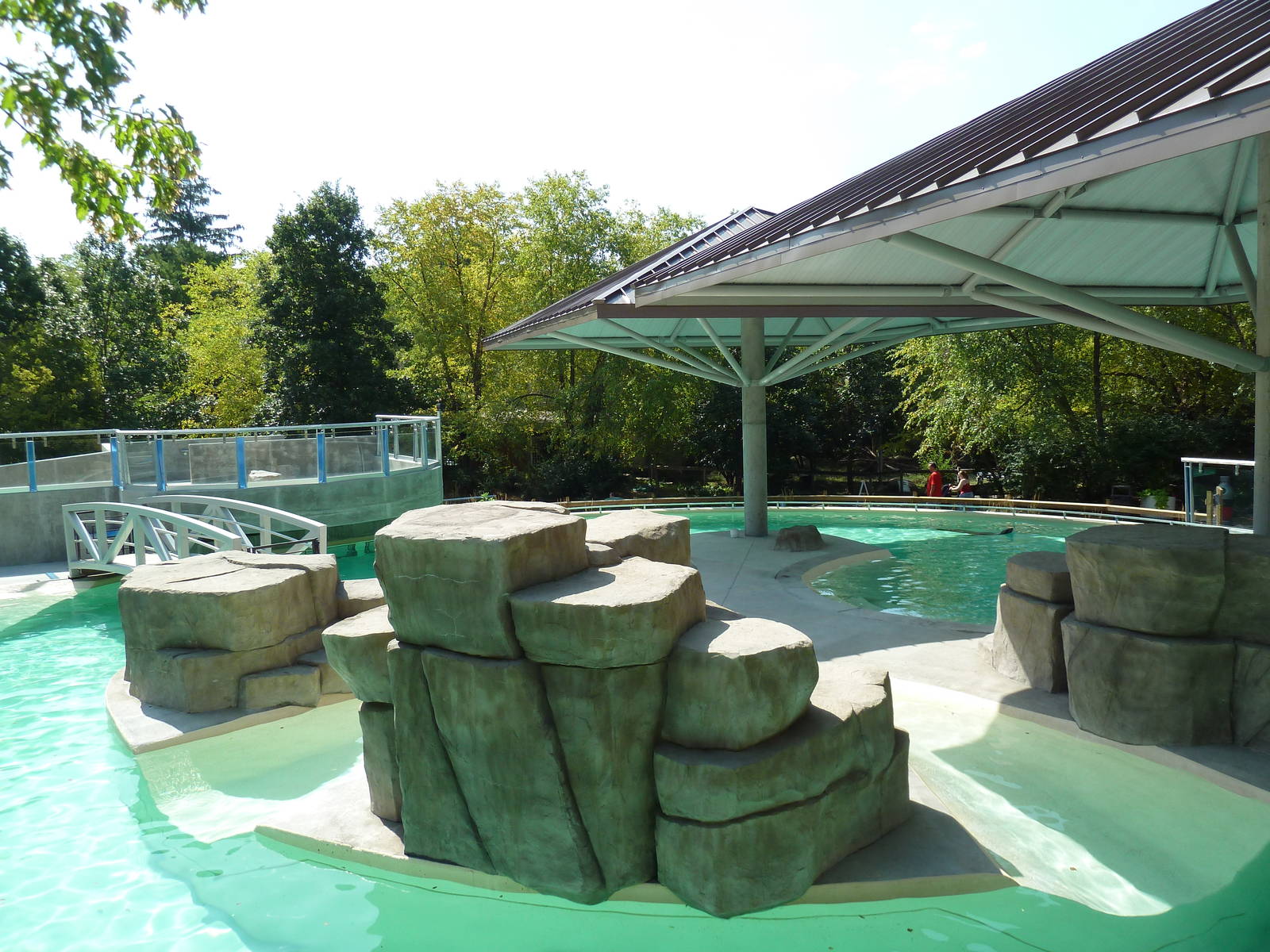 Seal/Sea Lion Exhibit