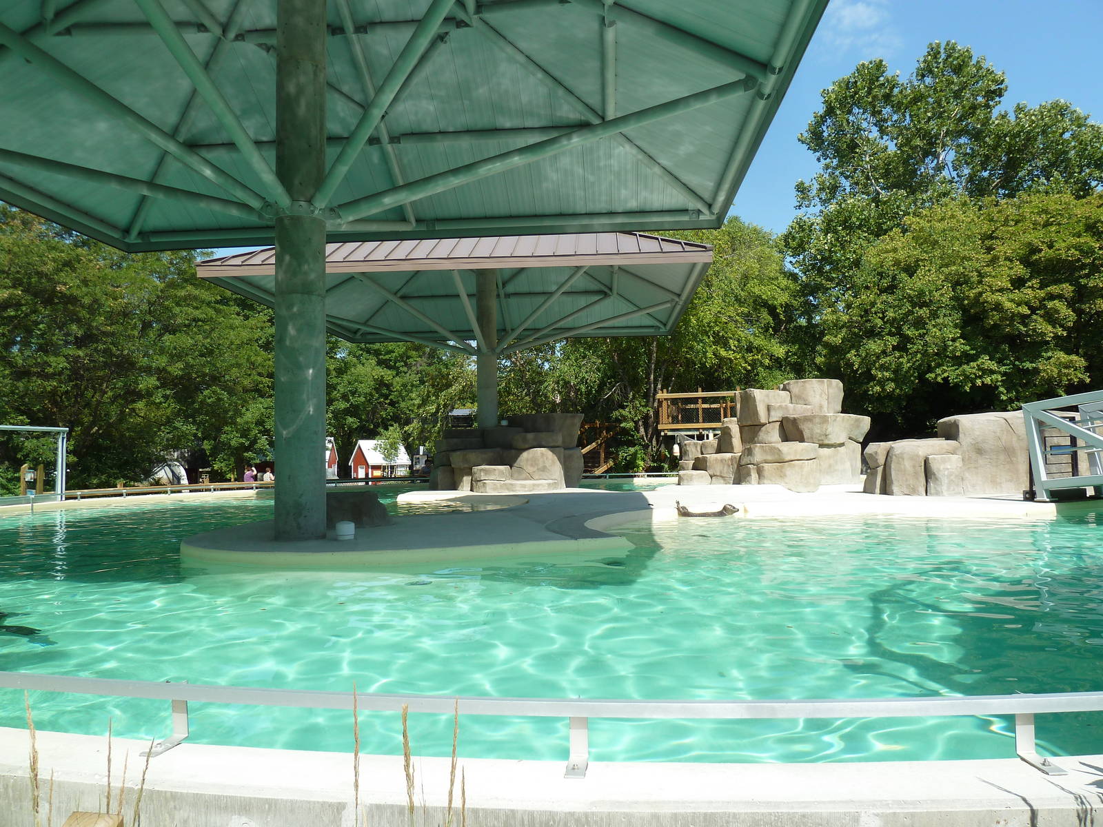 Seal/Sea Lion Exhibit