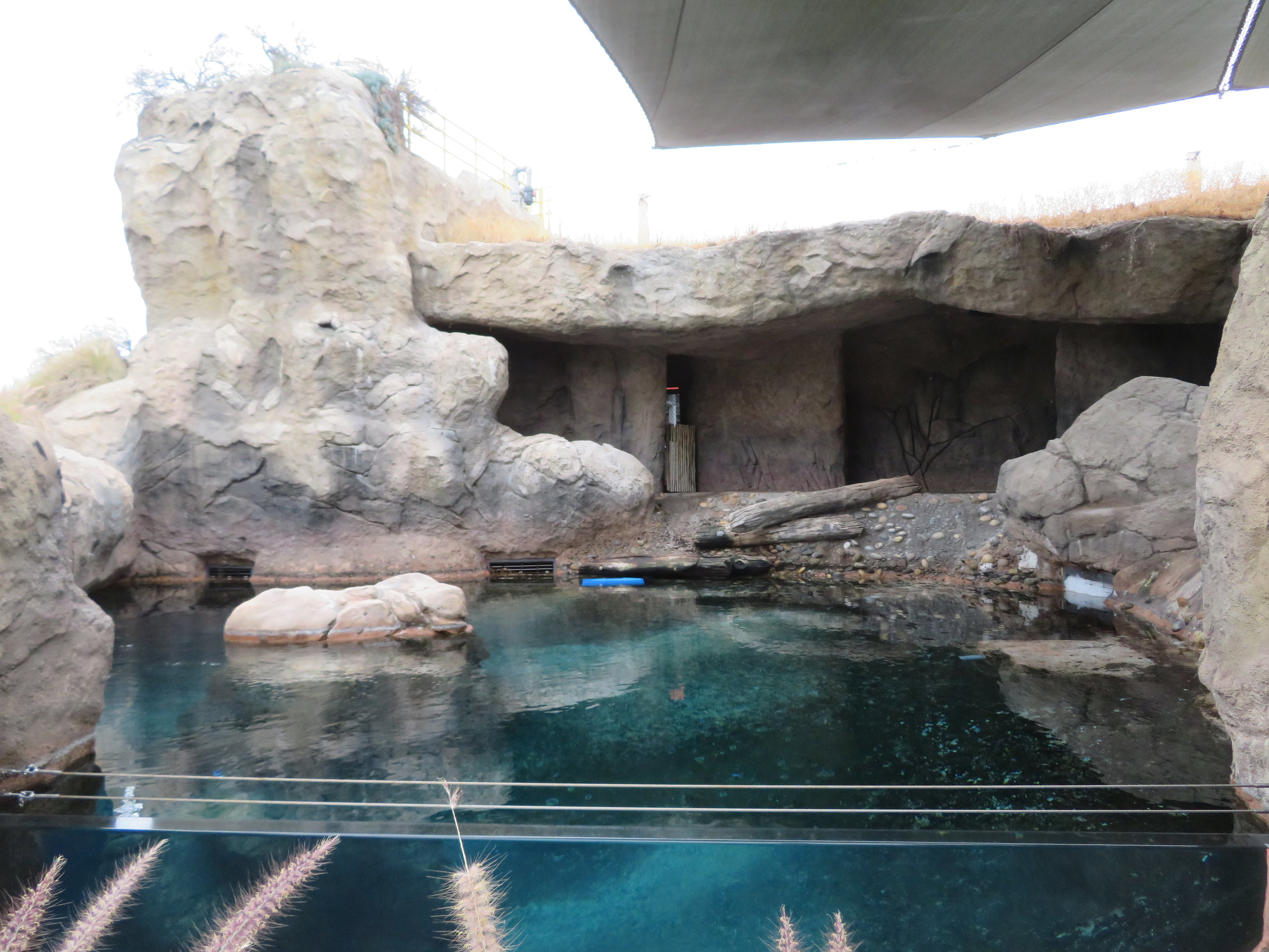 Seal/Sea Lion Exhibit