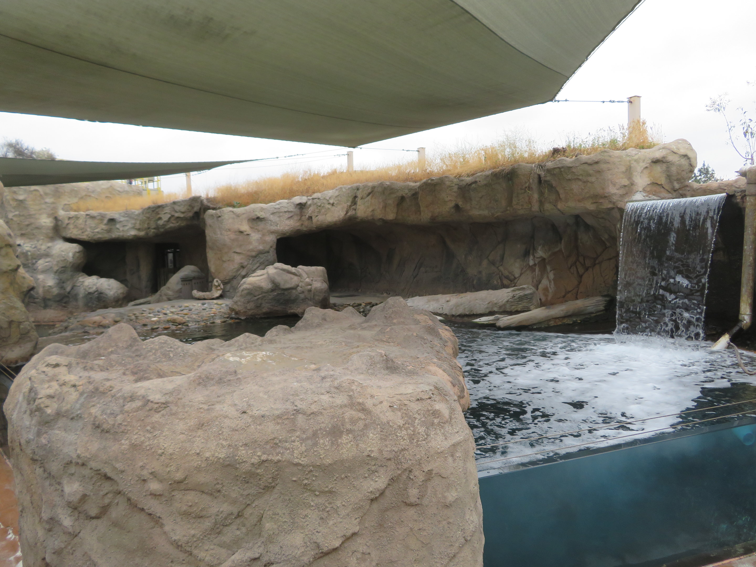 Seal/Sea Lion Exhibit