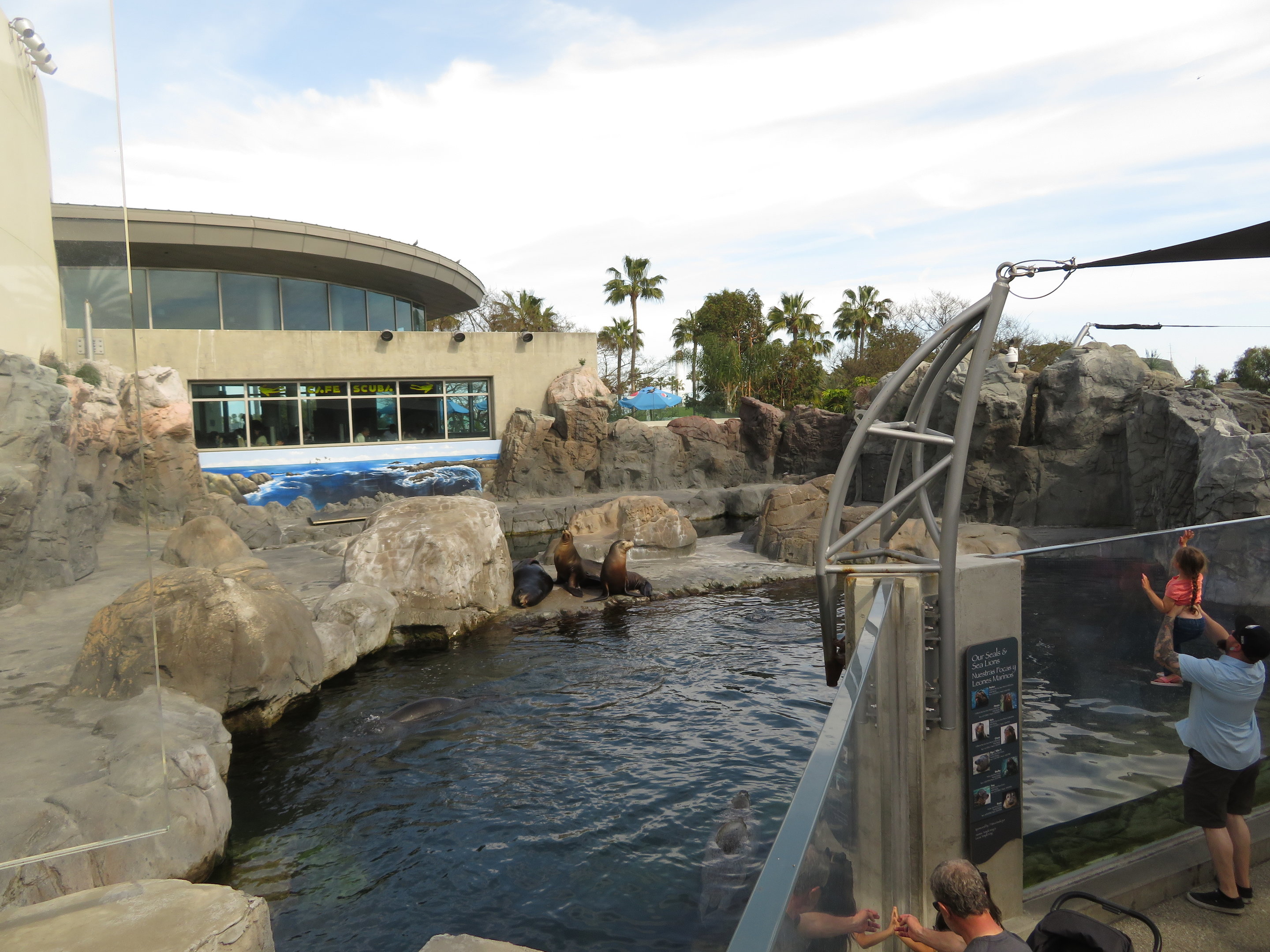 Seal/Sea Lion Exhibit