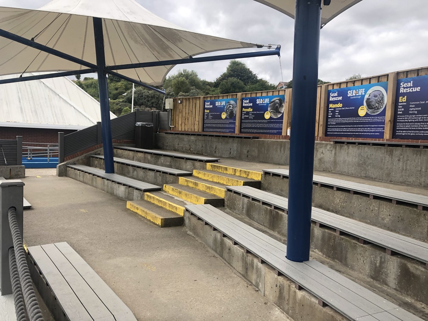 Seal Show Seating at SEA LIFE Scarborough (September 2022)