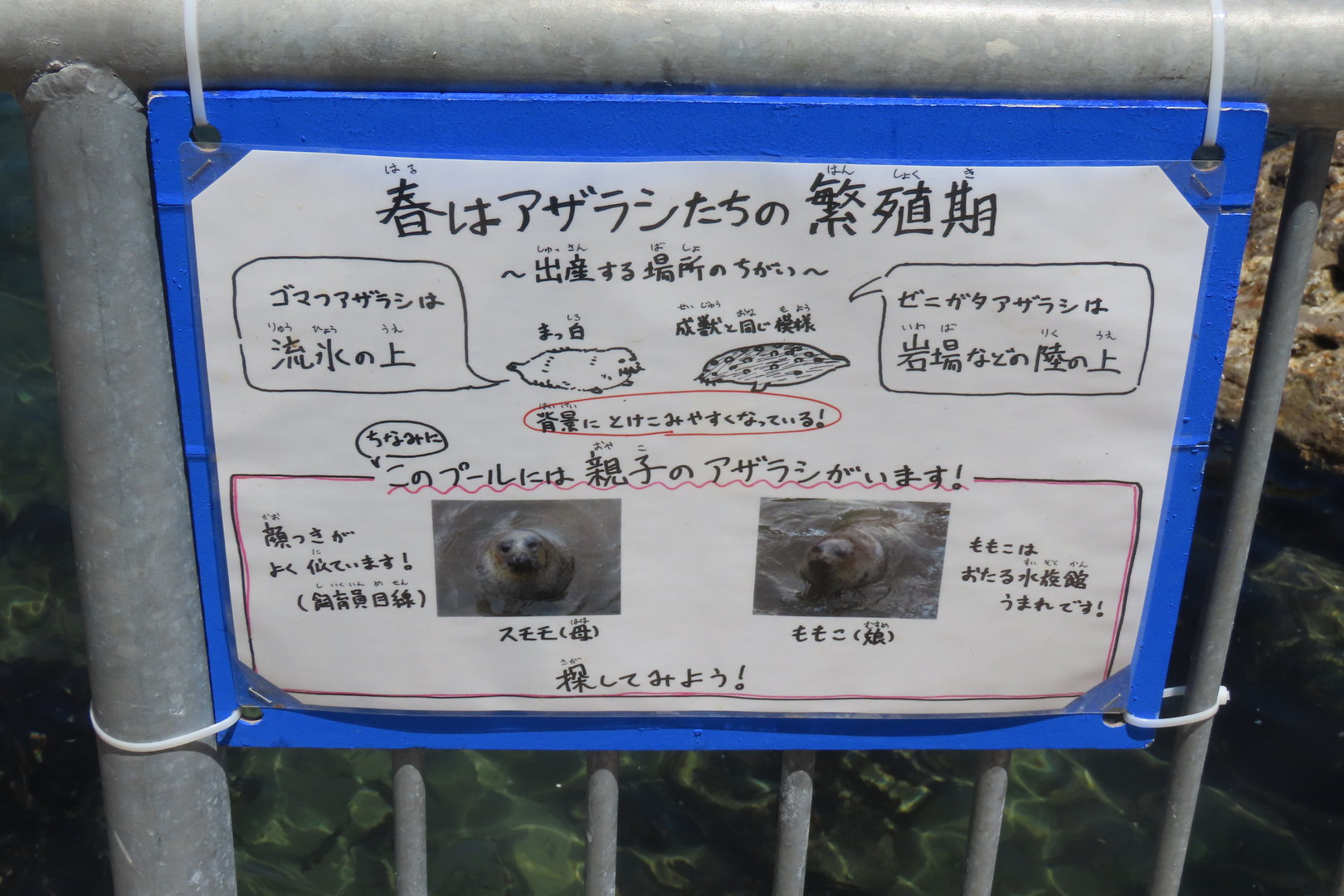 Seal signage