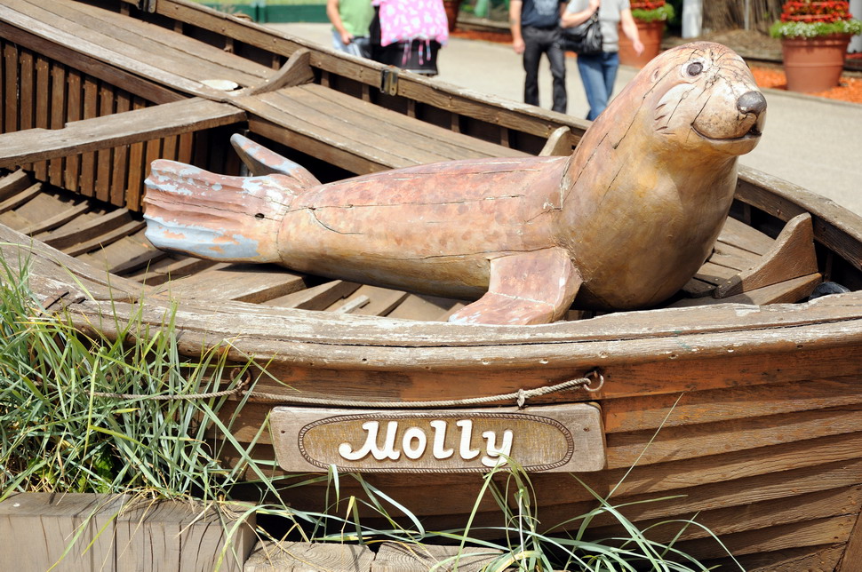 Seal statue at Hansa-Park Sierksdorf