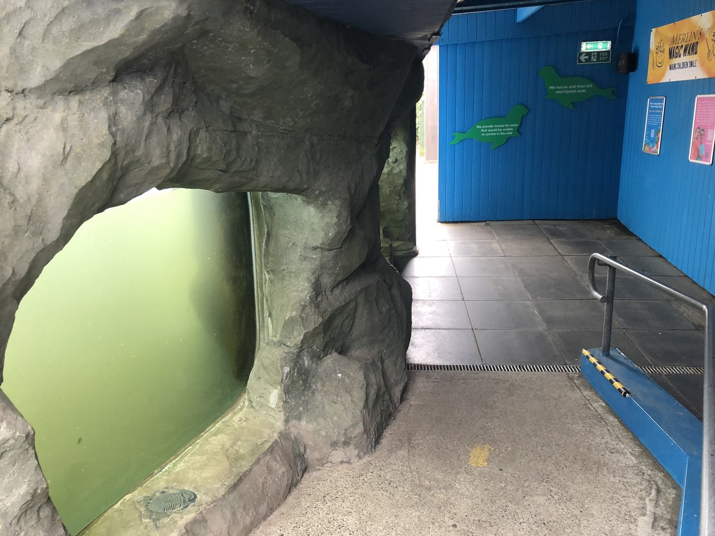 Seal Underwater Viewing Area at SEA LIFE Scarborough (September 2022)