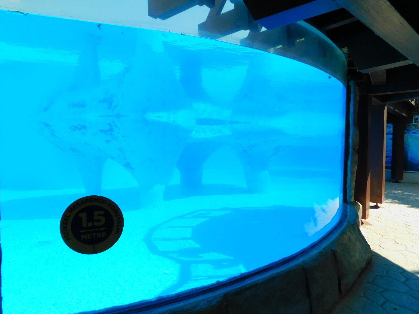 Seal Underwater Viewing Area