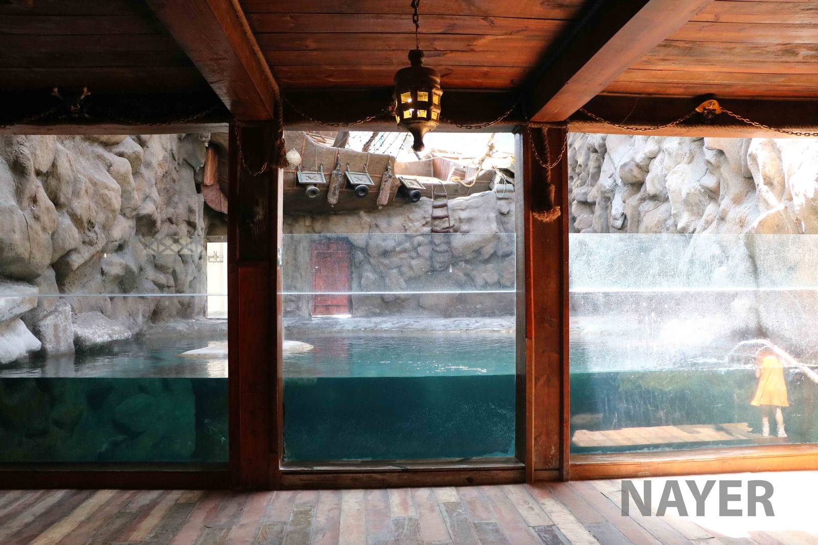 Seal viewing area, April 2016