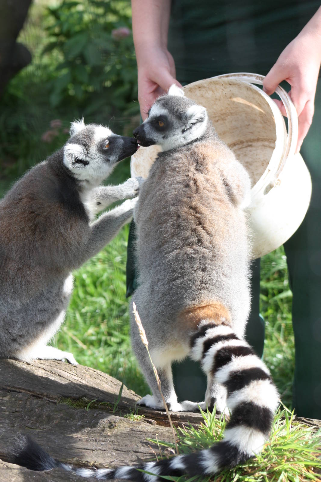 Sealed with a kiss, 30th August 2014