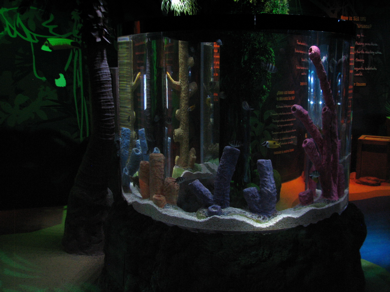 SEALIFE Conservation - First Exhibit