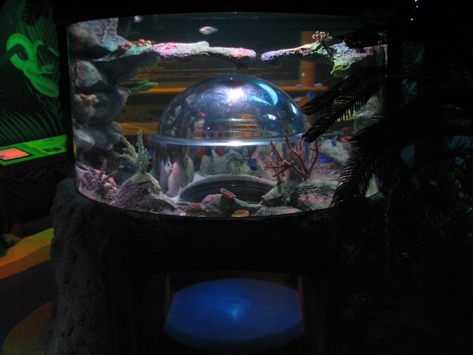 SEALIFE Conservation - Second Exhibit