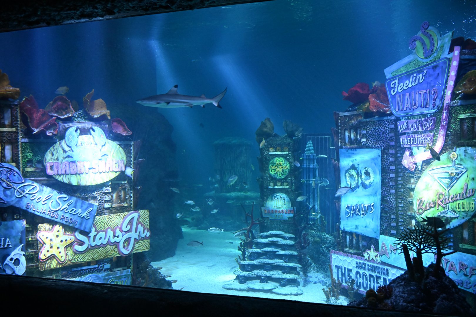 SeaLife New Jersey - Ocean Tank