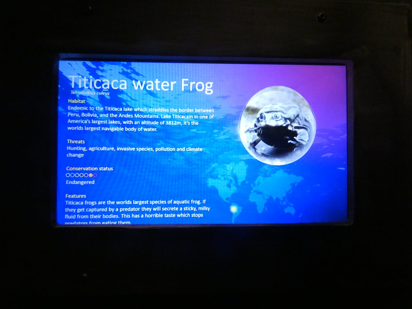 SeaLife signange style