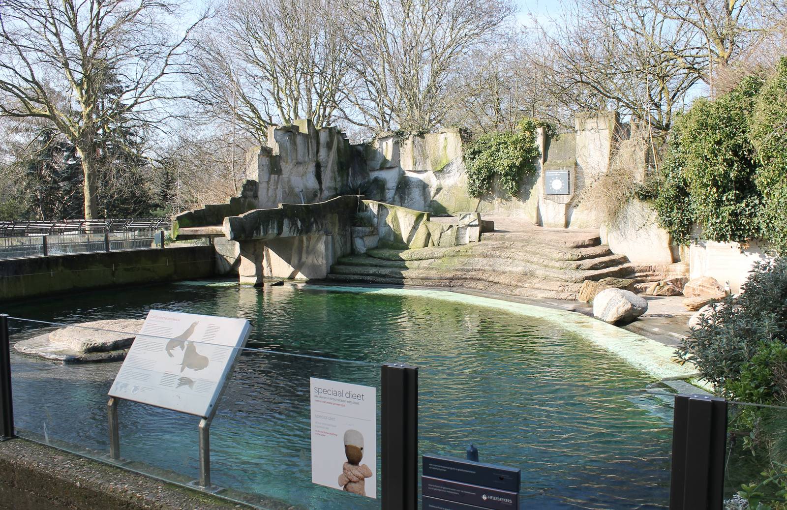 Sealion - African penguin enclosure