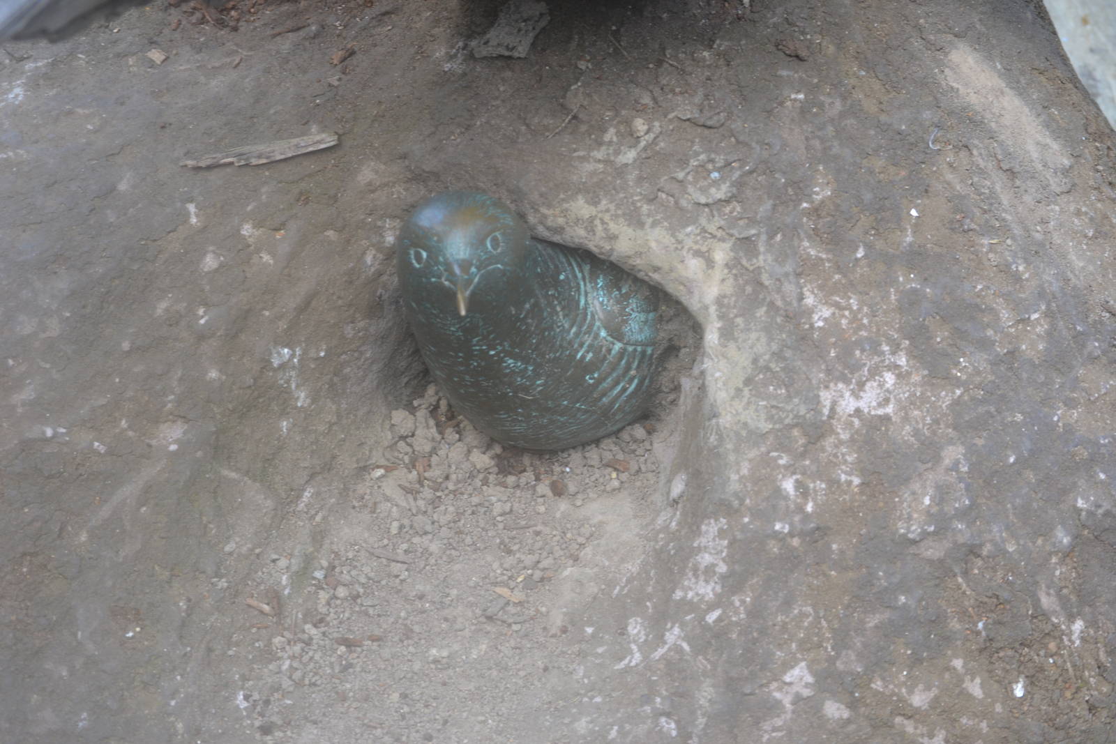 Sealion and Penguin Shores model