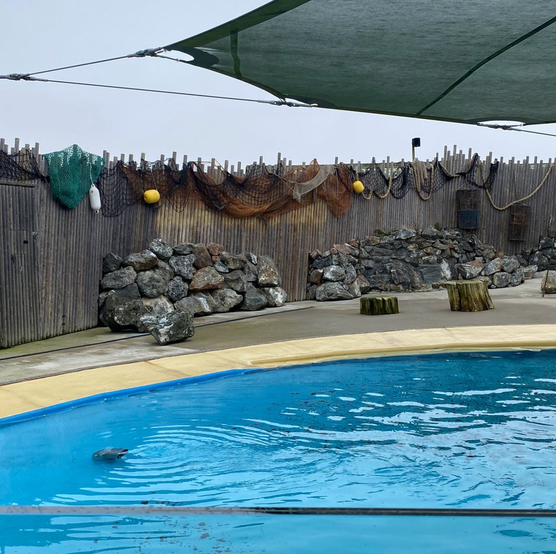 'Sealion Bay' signage removed, Banham zoo, UK