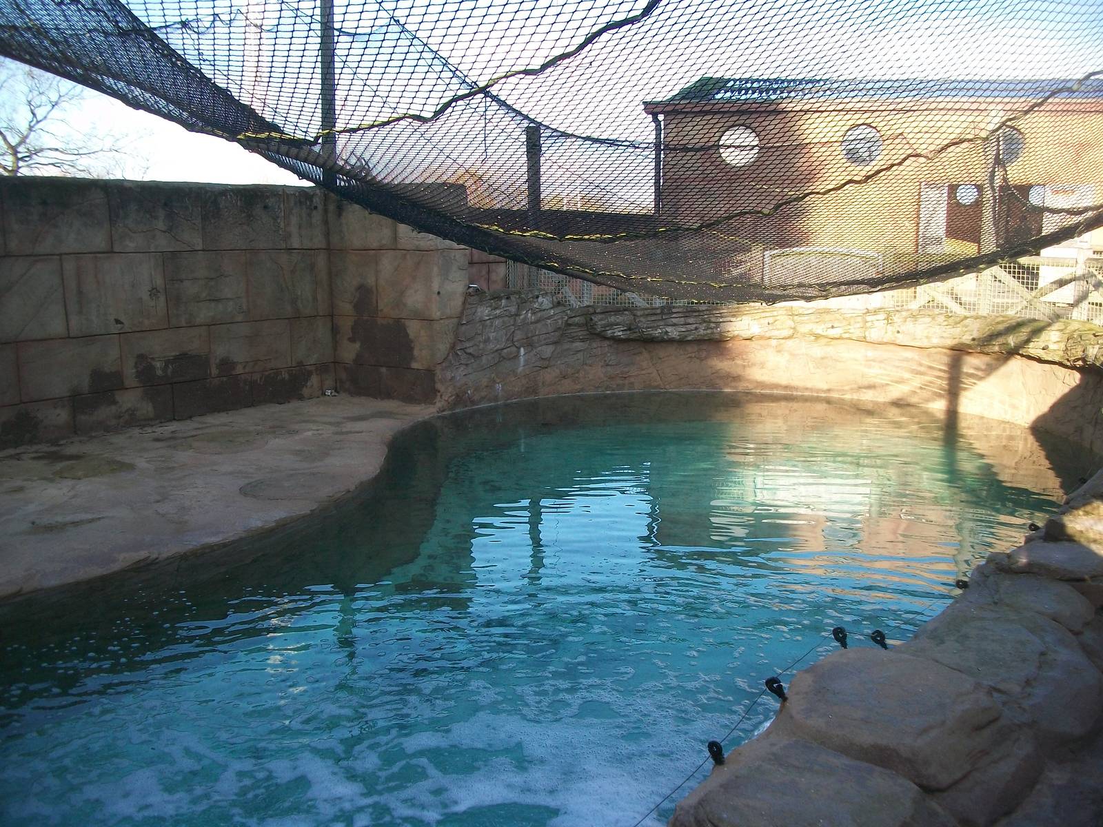 Sealion Centre saltwater pool 4th January 2013