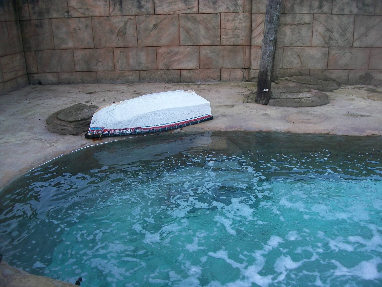 Sealion Centre saltwater pool 4th January 2013