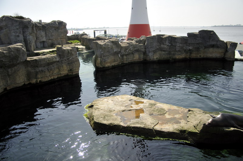Sealion-enclosure at Bremerhaven zoo