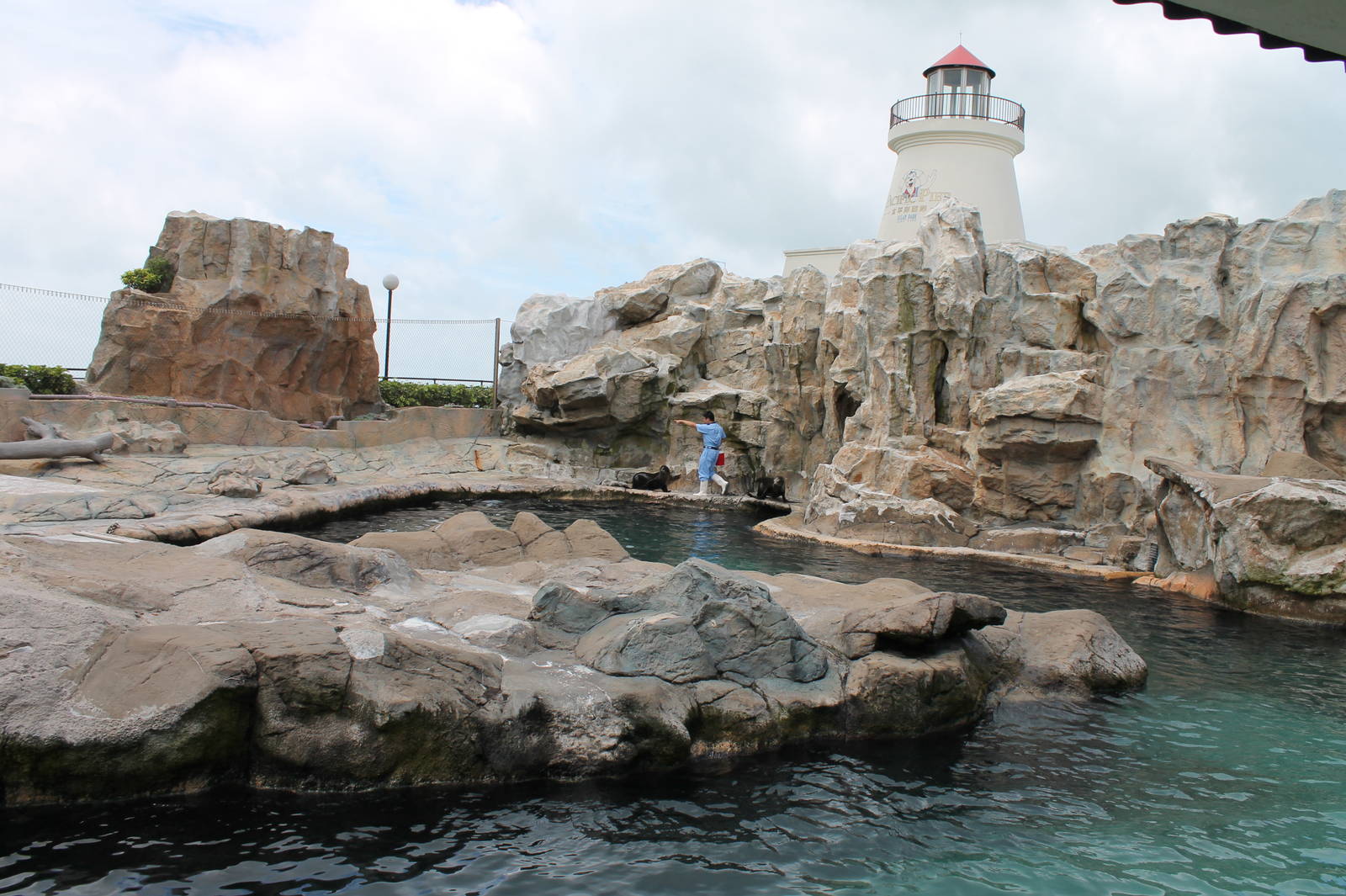 Sealion enclosure - June 2013