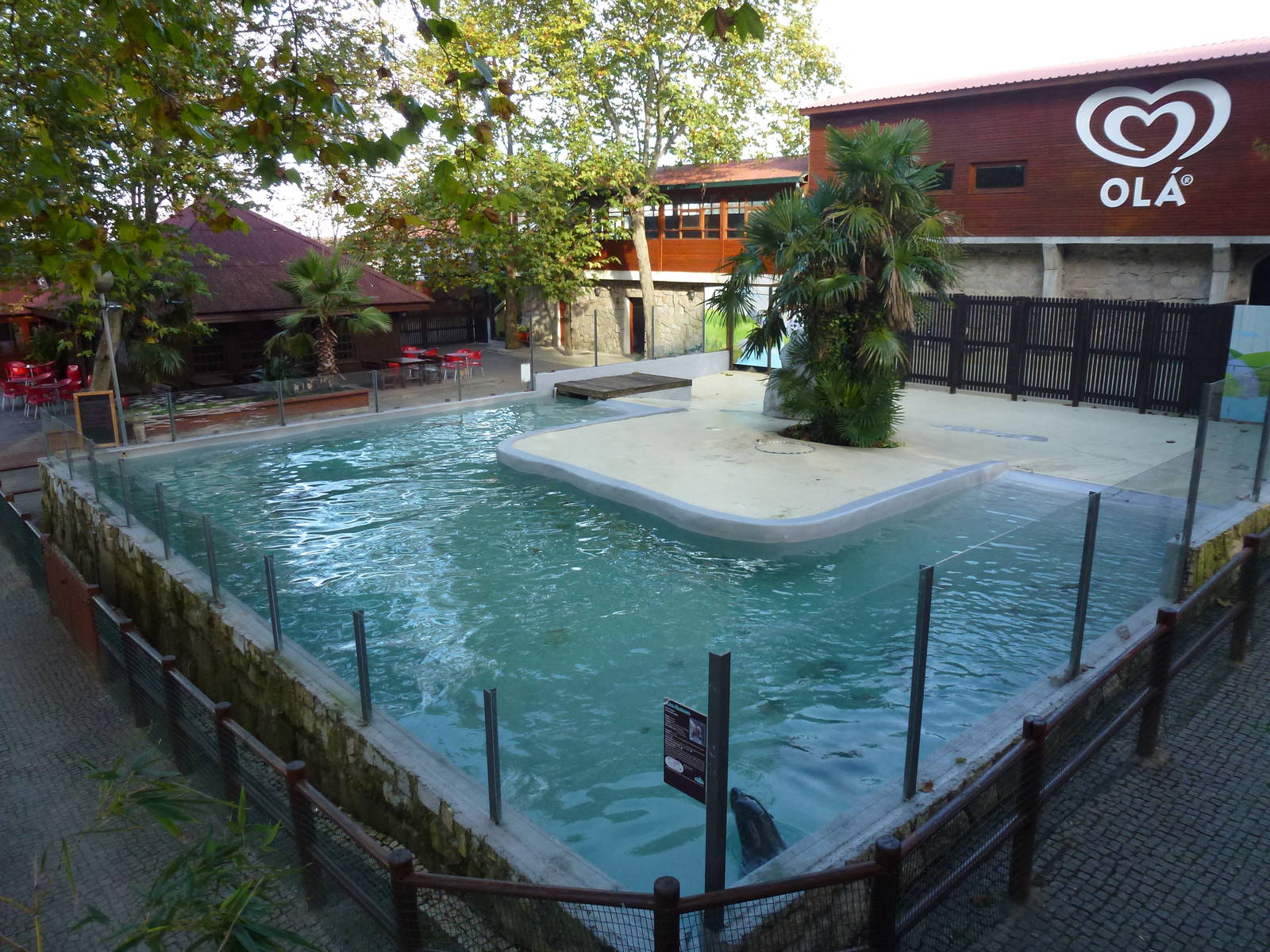 Sealion enclosure, November 2013.