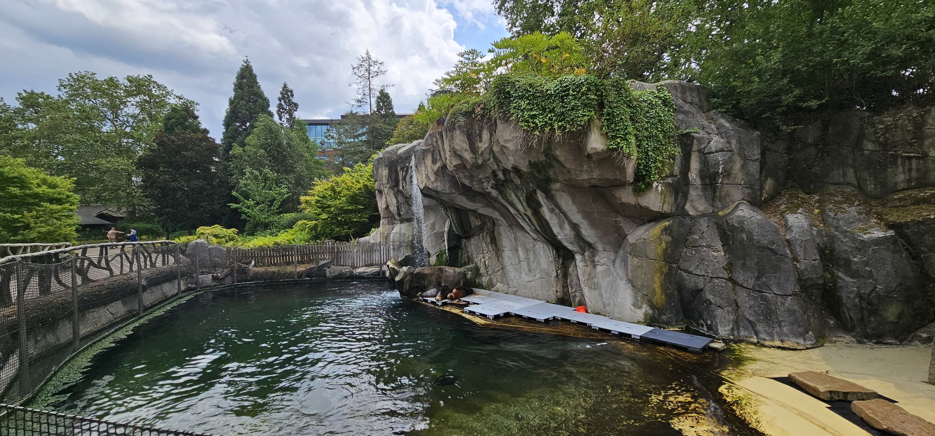 Sealion enclosure (temporary)