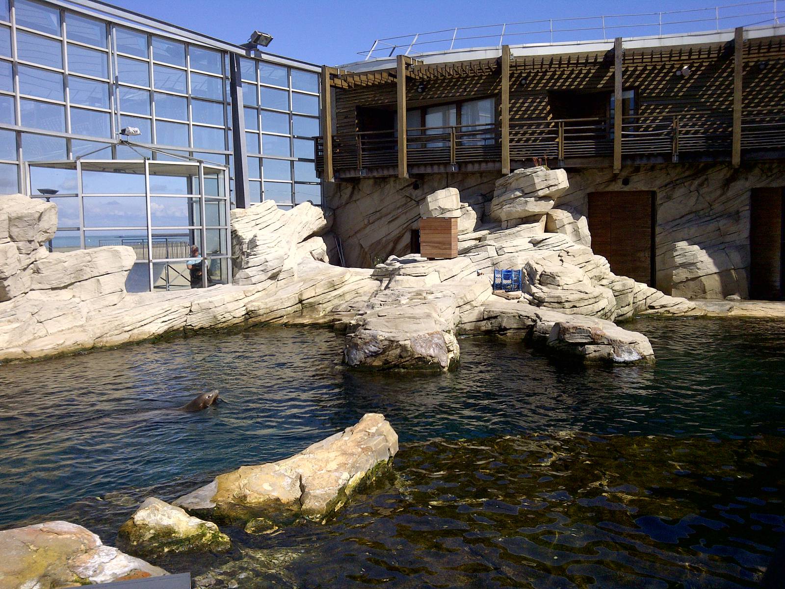 Sealion Enclosure