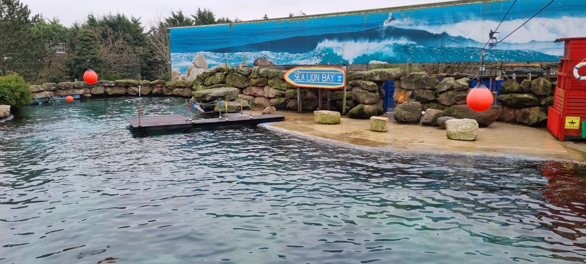 Sealion enclosure