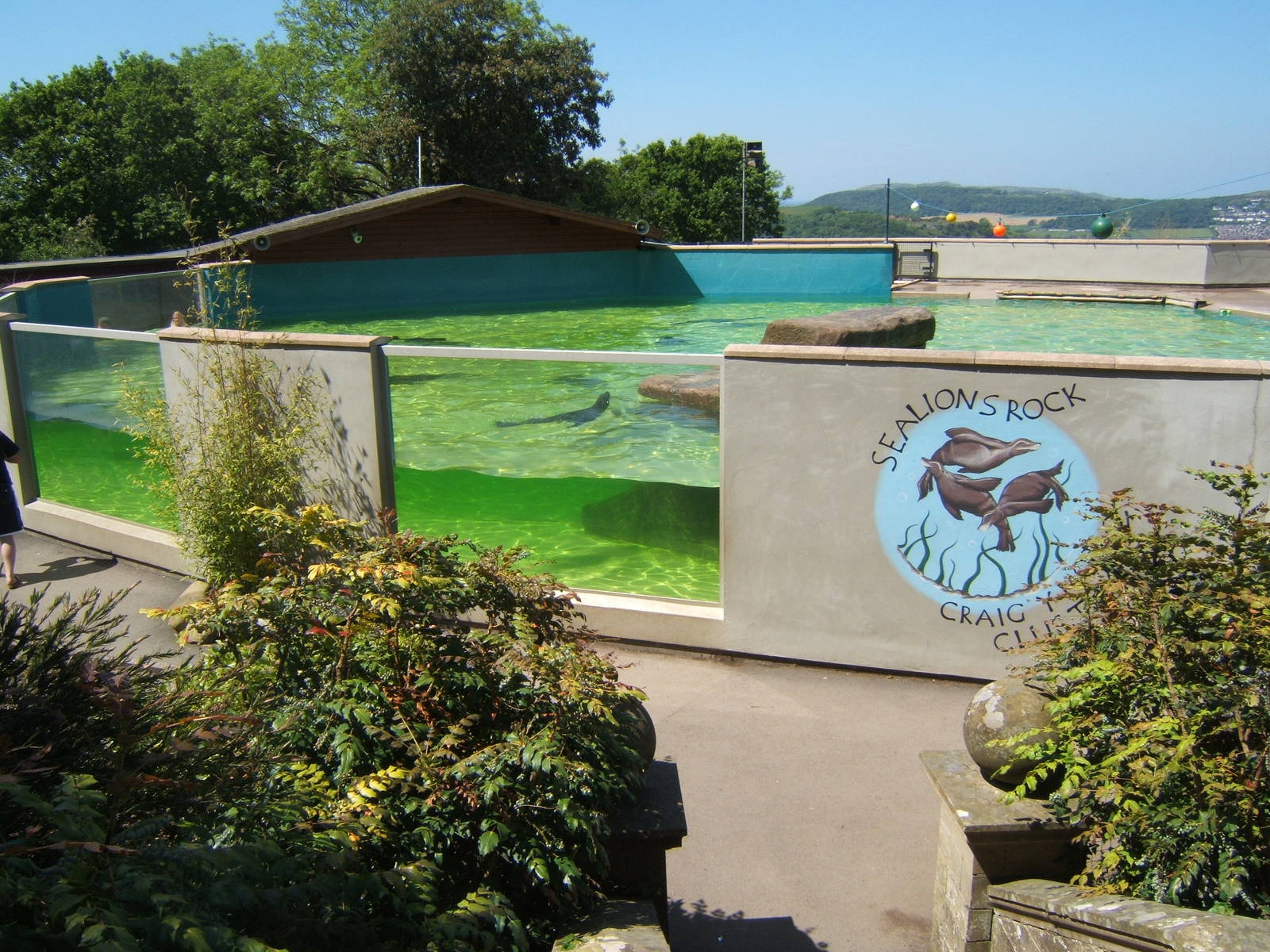 Sealion enclosure