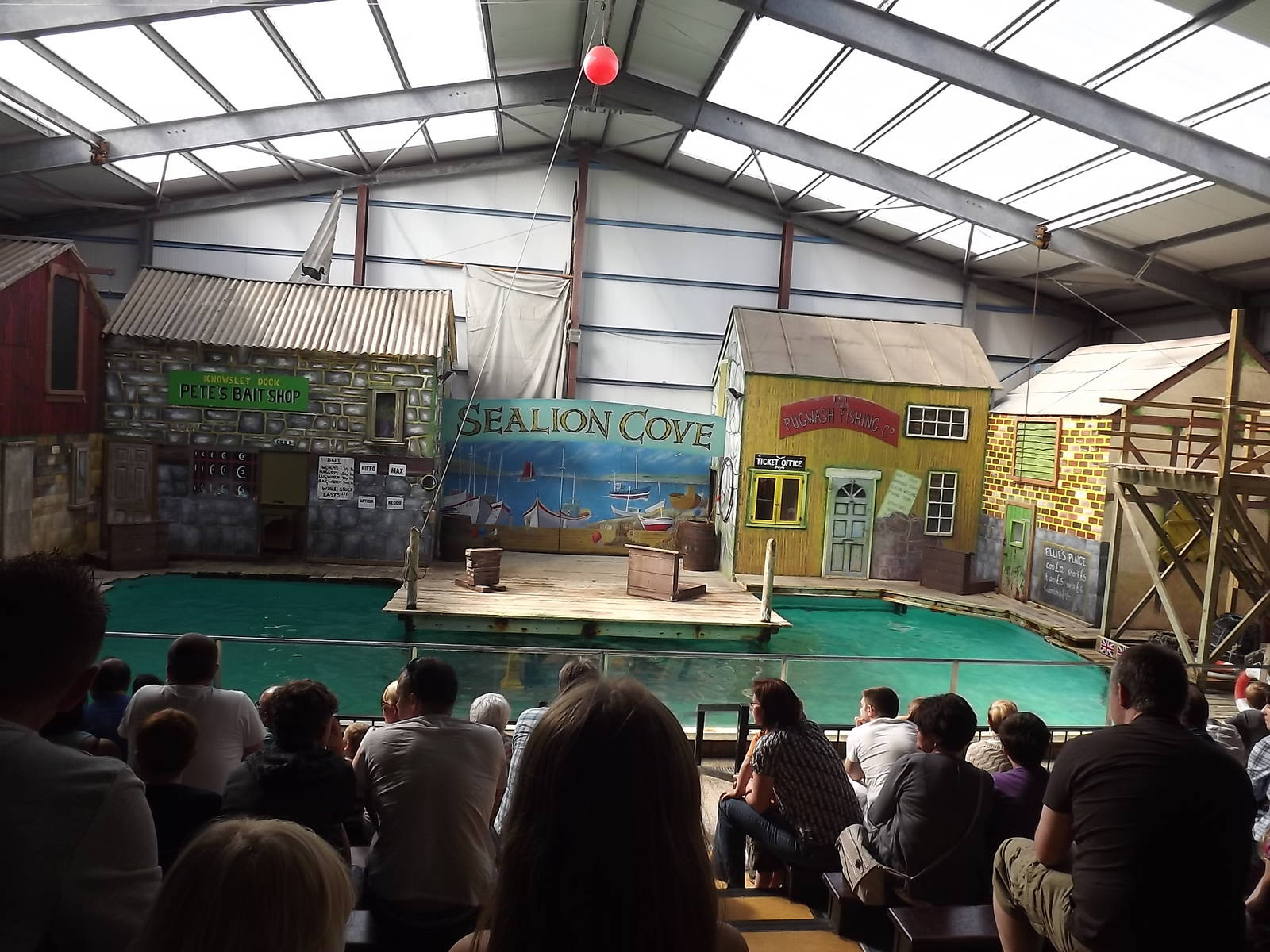 Sealion exhibit at Knowsley Safari Park 08/09/12