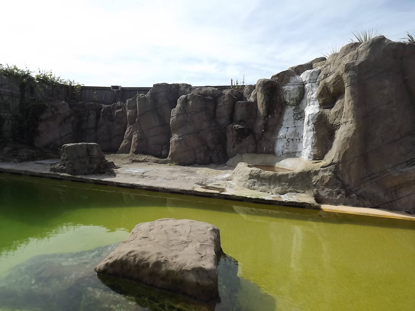 Sealion exhibit at Knowsley Safari Park 08/09/12
