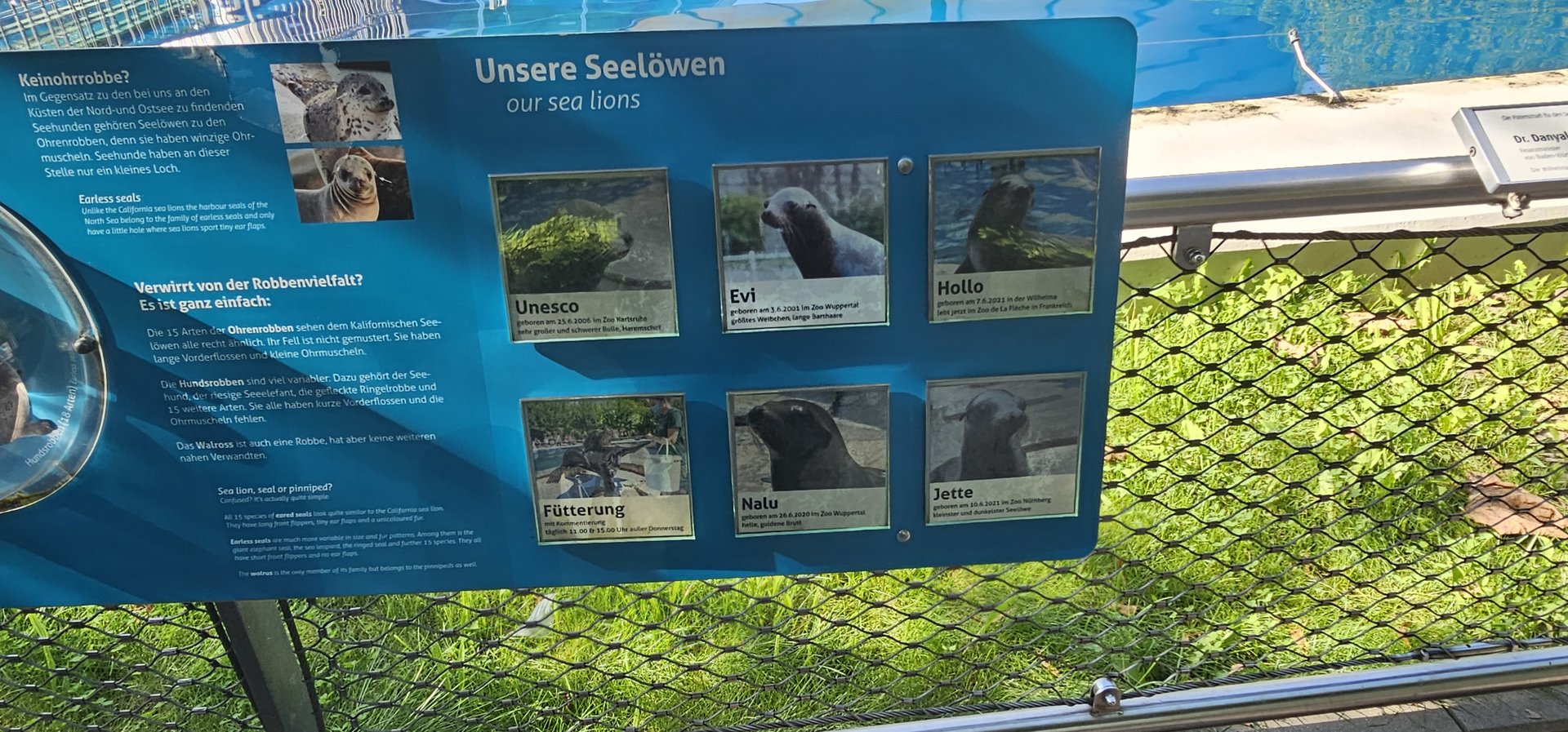 Sealion names signage