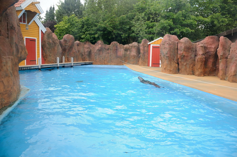 Sealion outdoors at Hansa-Park Sierksdorf