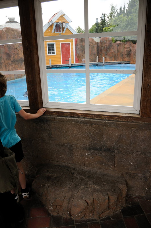 Sealion outdoors viewing at Hansa-Park Sierksdorf
