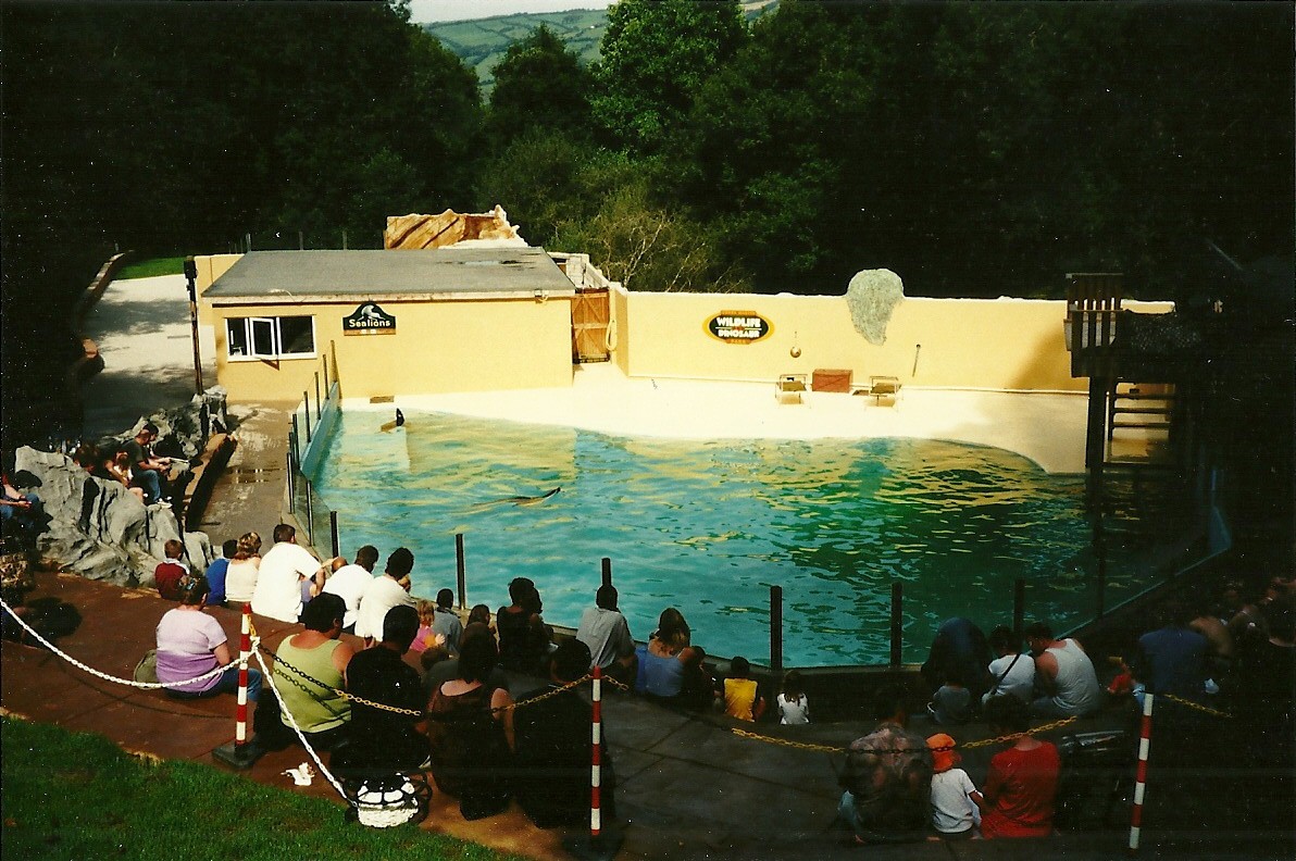 Sealion Pool 11th September 2000