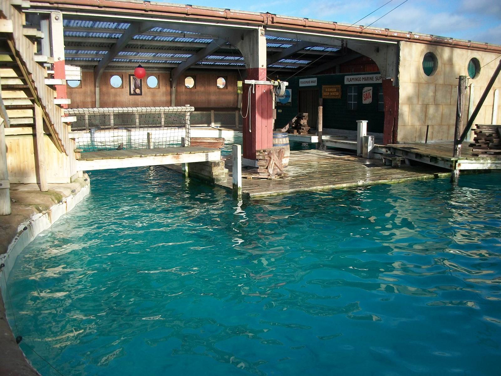 Sealion Pool, 3rd January 2014