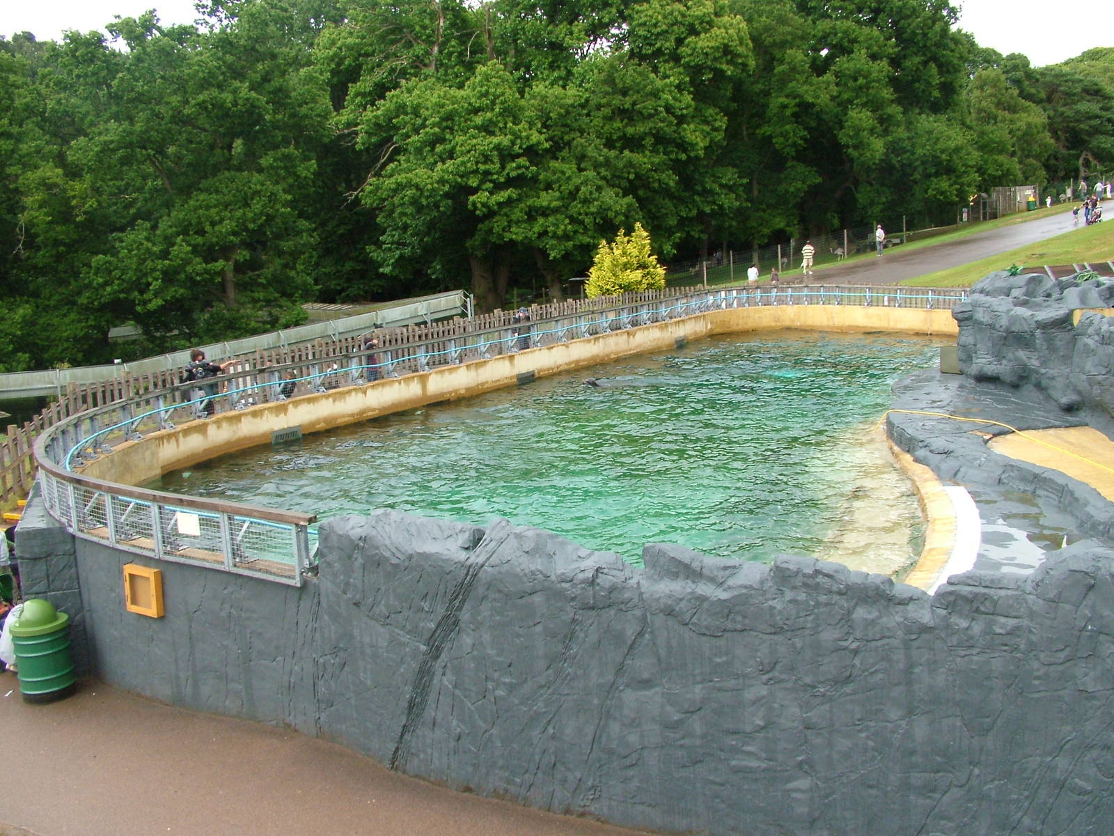 Sealion pool at Woburn 20/06/09