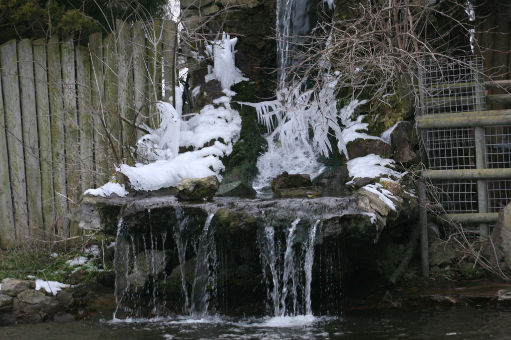 Sealion Pool Waterfall