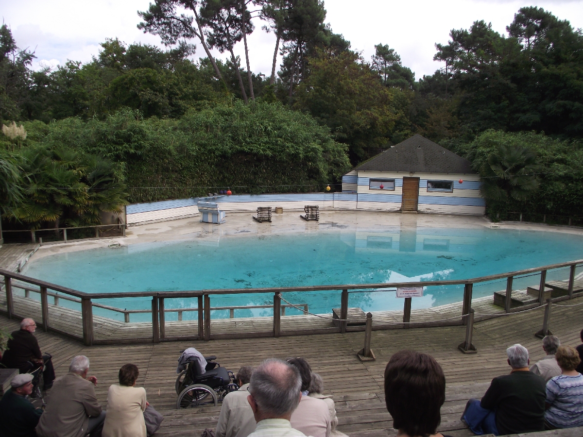 Sealion Pool