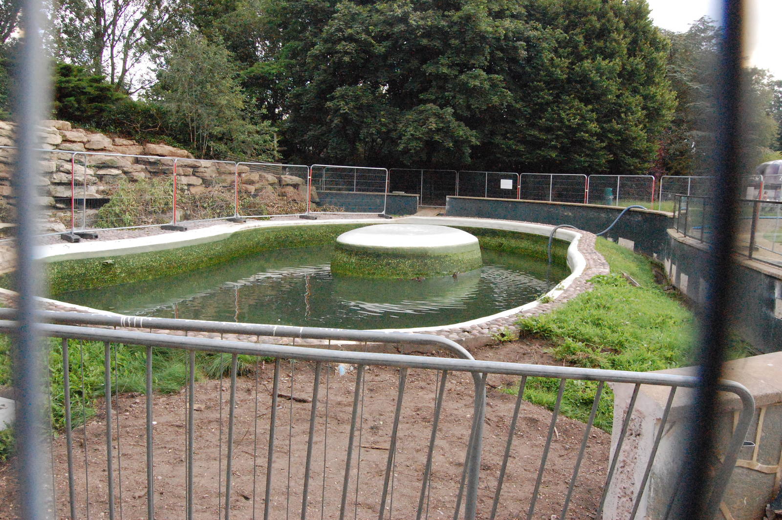 Sealion Pool